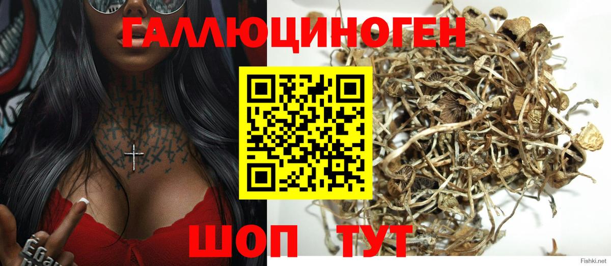 Ярцево  Псилоцибиновые грибы ЛСД  Вход с VPN  Галлюциногенные грибы прущие грибы 
